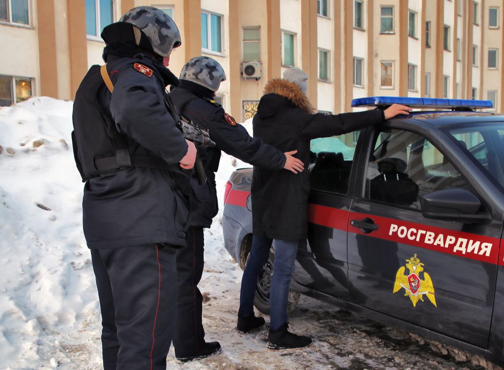 В Мордовии при содействии сотрудников Росгвардии задержаны два нетрезвых водителя