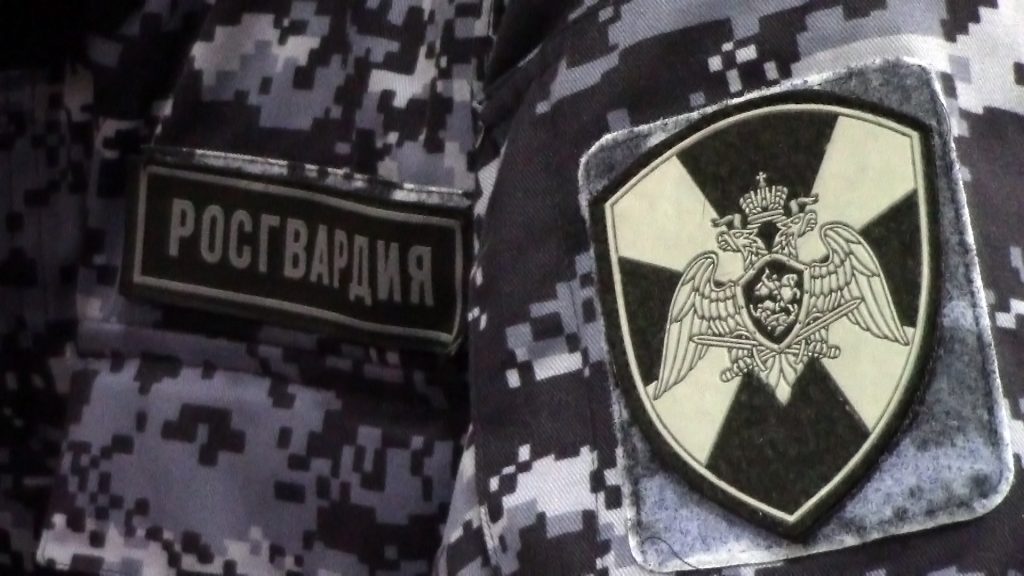 В Саранске ответили на вопросы про оружие