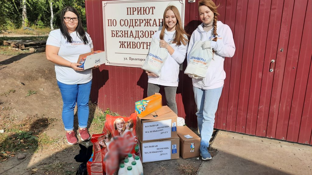 Большая помощь маленькому. Приют для бездомных животных в Мордовии. Огромная помощь. Единая Россия Мордовия корм для бездомных животных. Большая помощь.